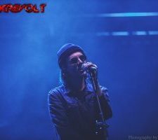 LIVE: HOLYGRAM