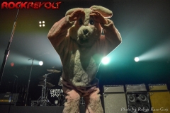 Green Day (2)