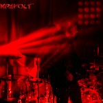 OrgySm-106