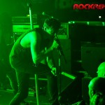 OrgySm-23