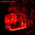 OrgySm-3