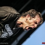 Lamb of God