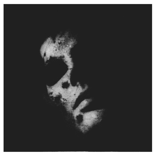 IN SOLITUDE ANNOUNCE NEW ALBUM, STREAM TITLE TRACK, “SISTER”