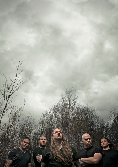 dd_band_vertical