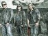 fozzy_940x400