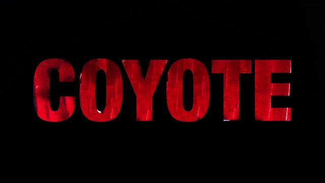 MOVIE REVIEW: COYOTE