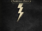 np.album