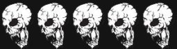 5 skulls skulls