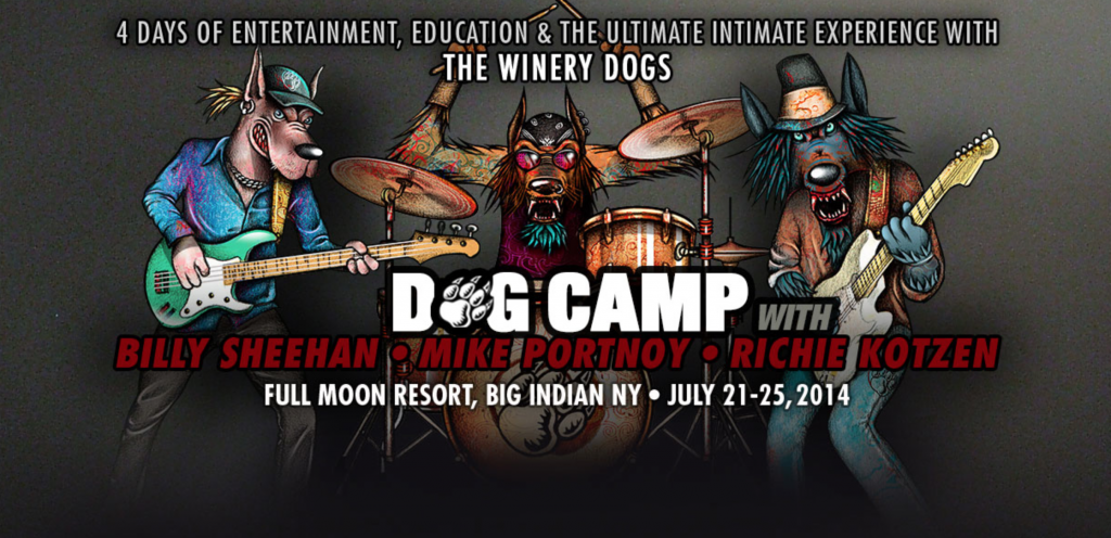 Dog Camp 2