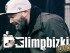 Limp Bizkit - louder than life - banner