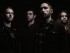Sylosis 2014