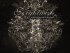 Nightwish - Endless Forms Most Beautiful