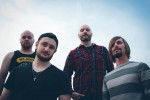 Arms For Elephants Announce New Album, Releases Lyric Video