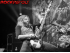 Mastodon